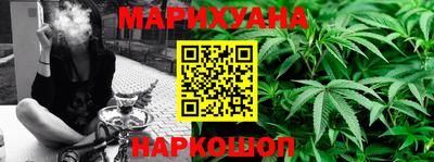 прущие грибы Славгород