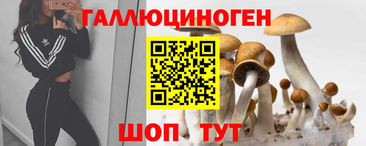 Бахчисарай  Галлюциногенные грибы ЛСД  Галлюциногенные грибы Cubensis  Вход с VPN 
