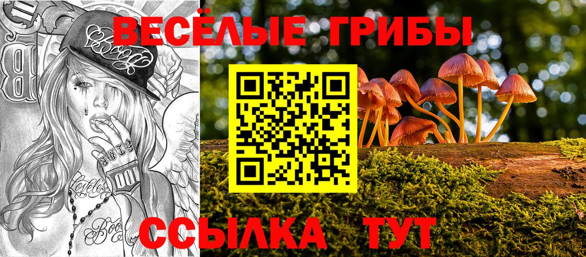 Галлюциногенные грибы Psilocybine cubensis Бахчисарай